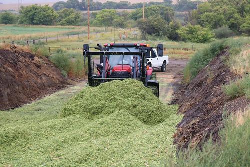 A large tractor pushes green chopped silage between rows of soil. 